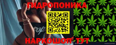 мяу мяу мука Прохладный