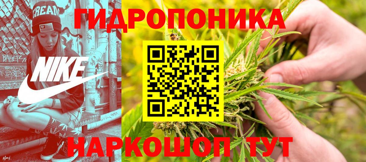 Бошки марихуана Ganja  Канабис план  МАРИХУАНА сатива  Горно-Алтайск  Вход с VPN 